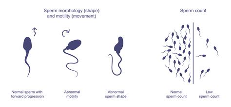 Healthy Sperm Dtap Clinic