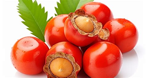 L-Tyrosine and Guarana