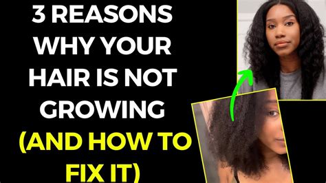 3 Reasons Why Your Hair Is Not Growing And How To Fix It Youtube