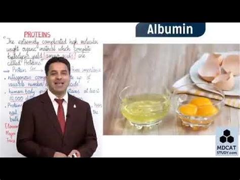 protein chapter  organic chemistry  year class  wajid ali