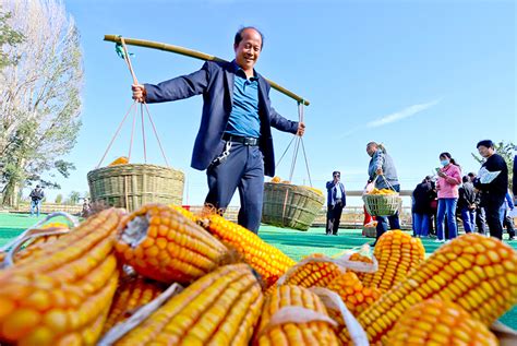 丰收季，逛集市、进田野、看美景，张掖农民共享丰收的喜悦澎湃号·媒体澎湃新闻 The Paper