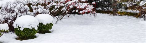 Entretien Du Gazon En Hiver Nos Conseils Pour Une Belle Pelouse