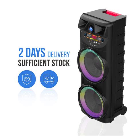 Dual 10 Inch Zqs10205 Outdoor Karaoke Wireless Party Bluetooth Speaker