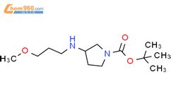 Methoxypropylamino Pyrrolidine Carboxylic Acid Tert Butyl Ester