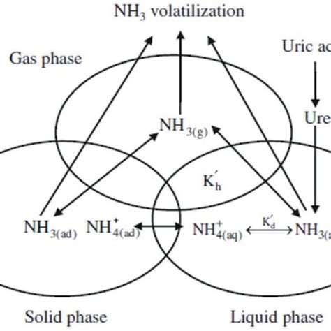 Mechanisms Of Ammonia Volatilization From Applied Urea In Soil Liang