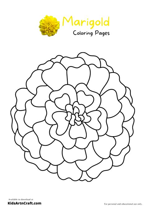 Marigold Coloring Pages For Kids – Free Printables - Kids Art & Craft