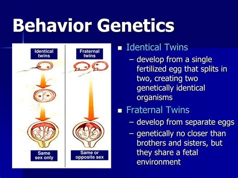 Ppt Behavior Genetics And Evolutionary Psychology Powerpoint