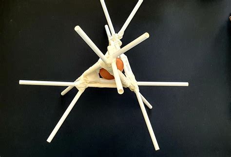 Egg Drop 7 Steps With Pictures Instructables
