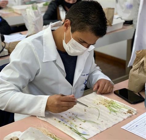 Curso De An Lise De Sementes Chega Ao Fim E Terceira Edi O Anunciada