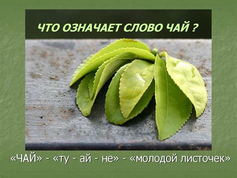 Выпей чайку - забудешь тоску! - презентация онлайн
