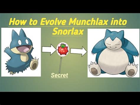 How To Evolve Munchlax Into Snorlax Youtube