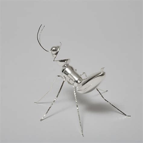 Mr. Ant