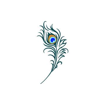 Peacock Feather Logo Png