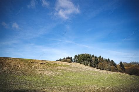 Rural Landscape With Trees On A Hill In The Spring With Blue Sky Photo