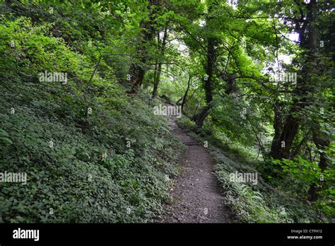 Travelling Trail Hi Res Stock Photography And Images Alamy