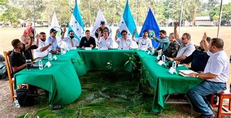 Honduras Declara Estado De Emergencia Ambiental En Defensa De Bosques Y