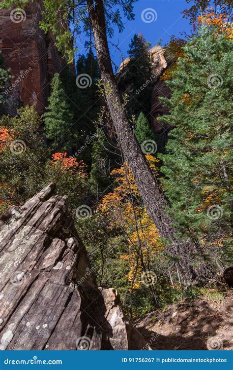 West Fork Of Oak Creek Canyon No 108 Picture Image 91756267