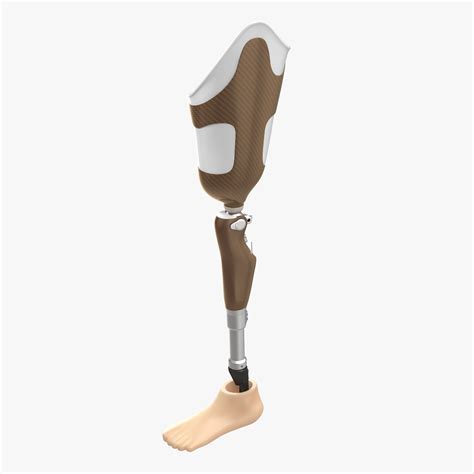 Prosthetic 3d Models Download Free3d