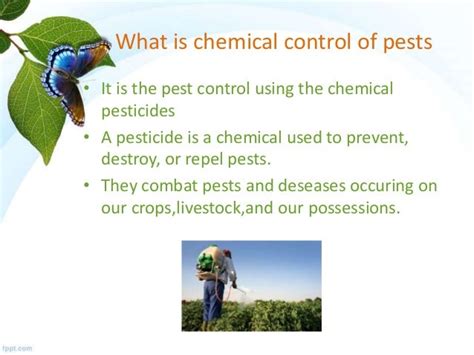 Chemical Control Of Pest Management