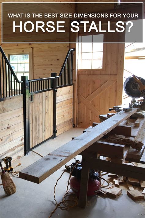 Typical Horse Stall Size At Lawrence Henry Blog