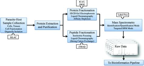 A Schematic Diagram For A Proteomics Workflow A Typical Workflow For A