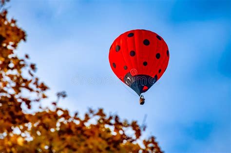 Red Hot Air Balloon Ladybug In Blue Autumn Skies Stock Image Image Of Autumn Vehicle 357488639
