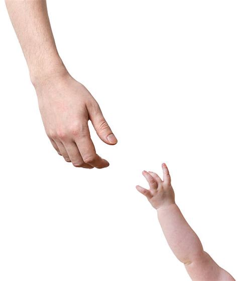 Best Baby Reaching Stock Photos Pictures And Royalty Free Images Istock