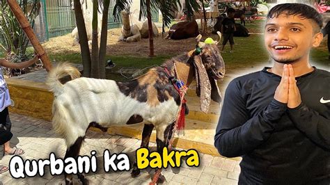 Alhumdulillah Qurbani Ka Bakra Le Liya 😍🙏🏻 Bakra Kitne Ka Mila Youtube