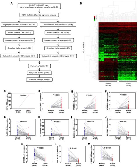 A Cluster Of Long Non Coding Rnas Exhibit Diagnostic And Prognostic