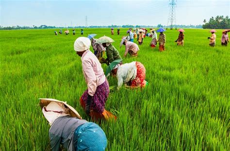 Singapore Agriculture Market Singapore Agriculture Industry Ken Research