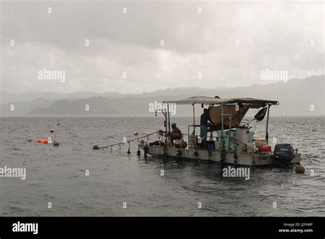 Fiji Black Pearl Farming Savusavu Island Fiji Stock Photo Alamy