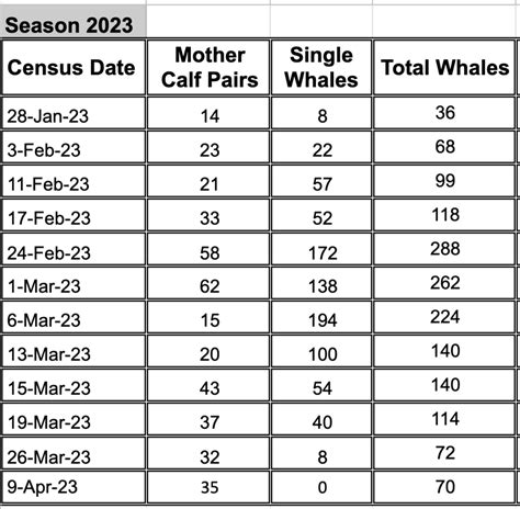 2023 San Ignacio Lagoon Whale Census - Baja Ecotours