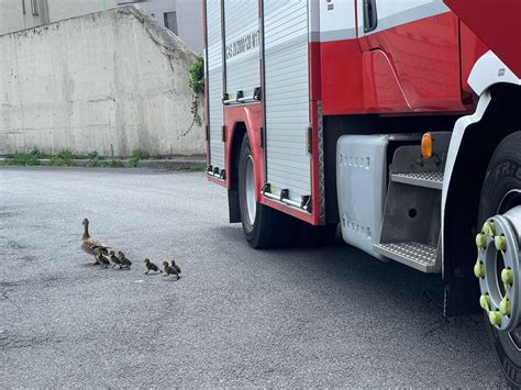 Hasi I Praha On Twitter Na N M St Bohumila Hrabala Jsme Zachr Nili