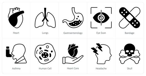 Un Conjunto De 10 Médico íconos Como Corazón Pulmones