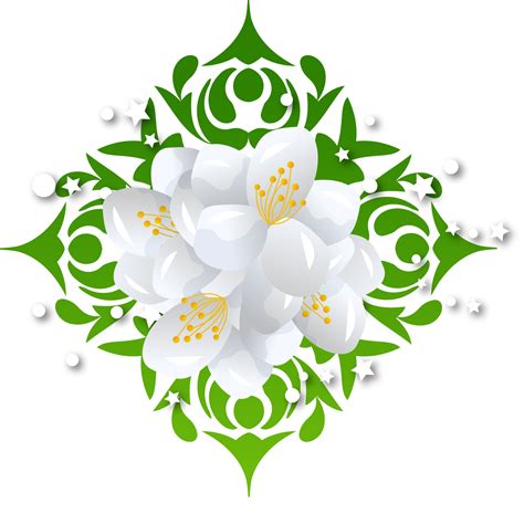 jasmine flower seeds 2