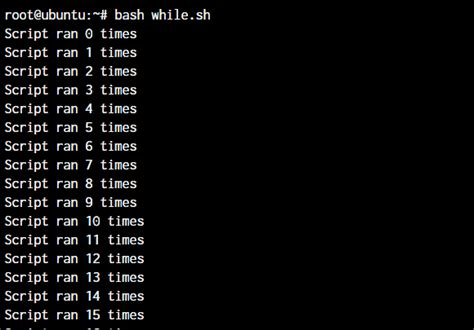 Shell Scripting While Loop Condition In Bash Script Linuxfordevices