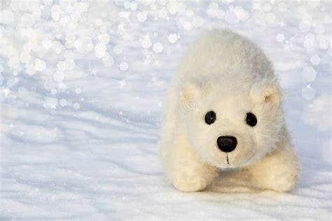 Toy Polar Bear Cub in the Arctic Stock Photo - Image of amazement, arctic: 28672340