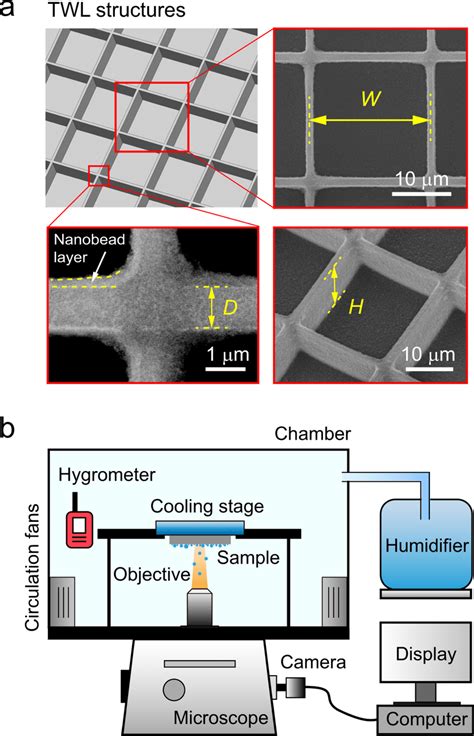 Surface characterization and experimental setup a Illustration and ...