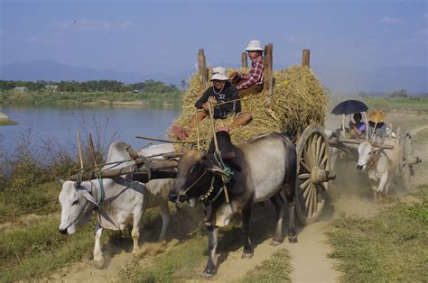 Taungoo - Irrawaddy, Myanmar - Around Guides