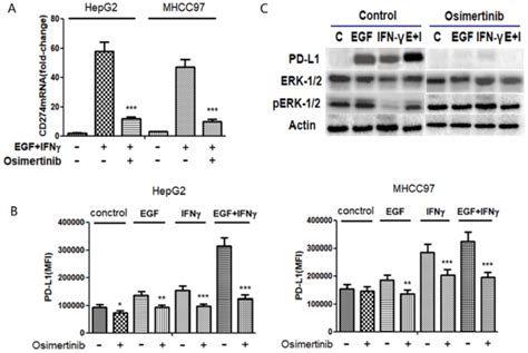 Egfr Inhibitors Reduced Egf And Ifn Induced Pd L Expression A