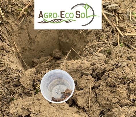 AgroEco Sol Le billet sciences FranceInfo Auréa AgroSciences