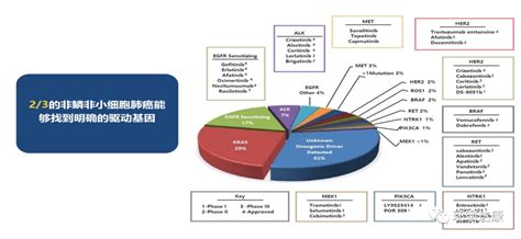 2021最新版非小细胞肺癌NCCN指南出炉八大靶点治疗方案更新解读 NCCN 靶点 指南 患者 肺癌 方案 EGFR 健康界