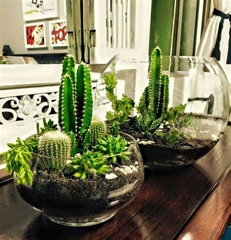 27 Beauty Cactus And Succulent Garden Ideas For Indoor Page 21 Of 29 Succulent Garden Diy