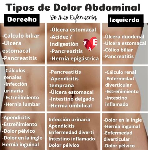 Cuadrantes Abdominales Anatomía órganos