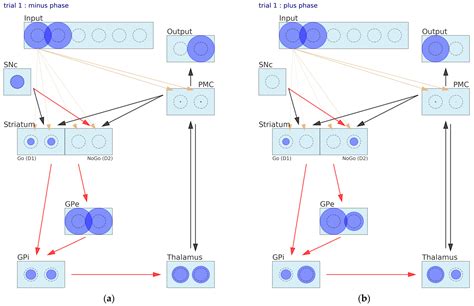 Brain Sciences Free Full Text Coarse Grained Neural Network Model