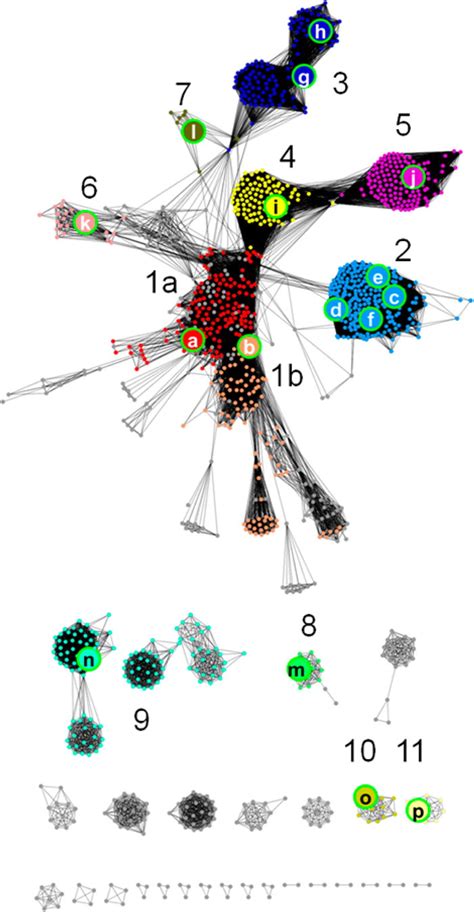 Structure-Guided Discovery of New Deaminase Enzymes