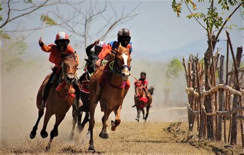 Mengenal Maen Jaran Tradisi Pacuan Kuda Masyarakat Sumbawa Turisian