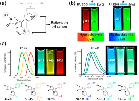 Discovery Understanding And Bioapplication Of Organic Fluorophore A