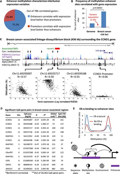 Dna Methylation Of Transcriptional Enhancers And Cancer Predisposition