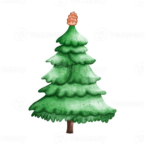 Christmas Tree Clipart Watercolor Illustration Png